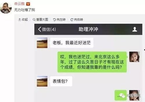 吃瓜娱乐小助手,吃瓜娱乐小助手带你探秘明星生活